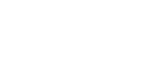 donkey-kong-bananza-logo